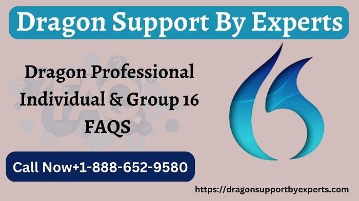 Dragon Professional Individual & Group 16 FAQS
