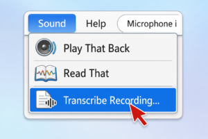 Transcribing a Digital Recording